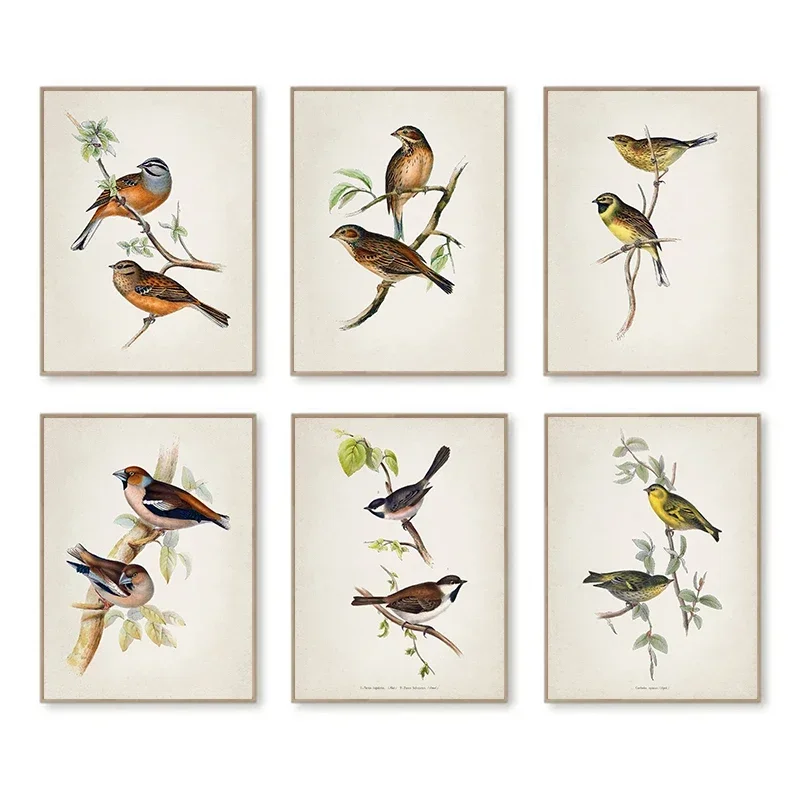 Resin Art On Canvas - Wall Art Vintage The Bird Stands